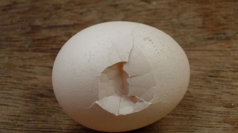 Thấy trứng gà nứt là điềm báo bạn cần cẩn thận